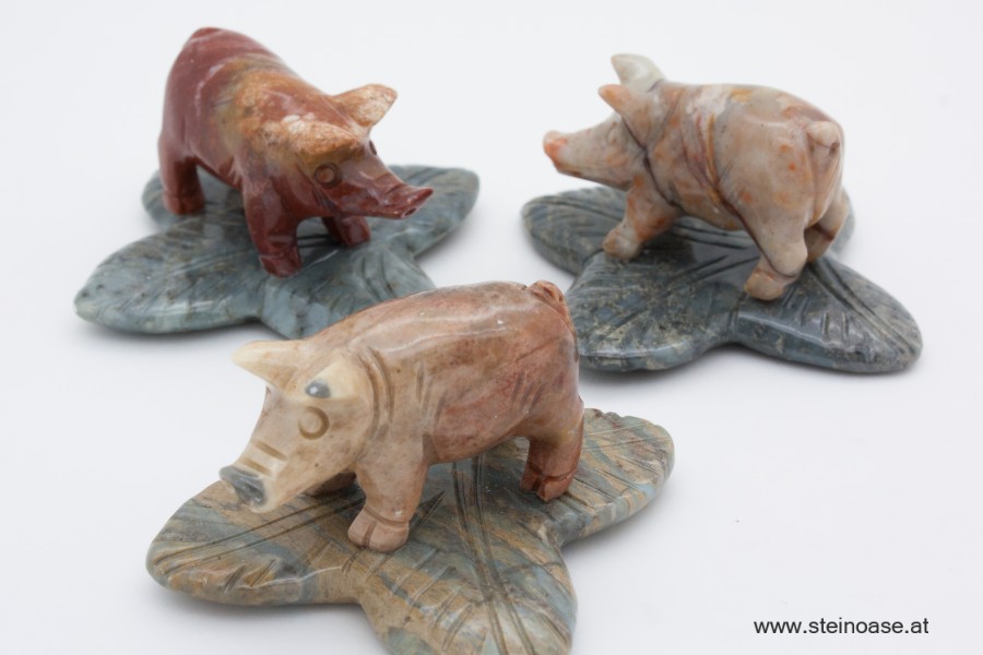 Schwein auf Glückskleeblatt